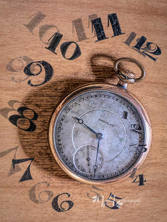 Time-Flies