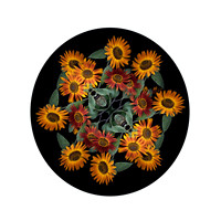 Sunflowers-1