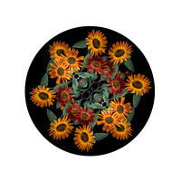 Sunflowers-1a
