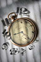 time Flies II