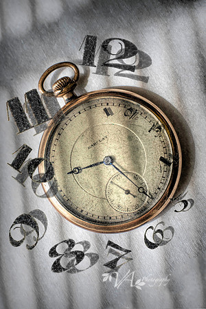 time Flies II