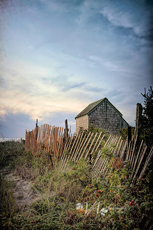 Beach_shack-1